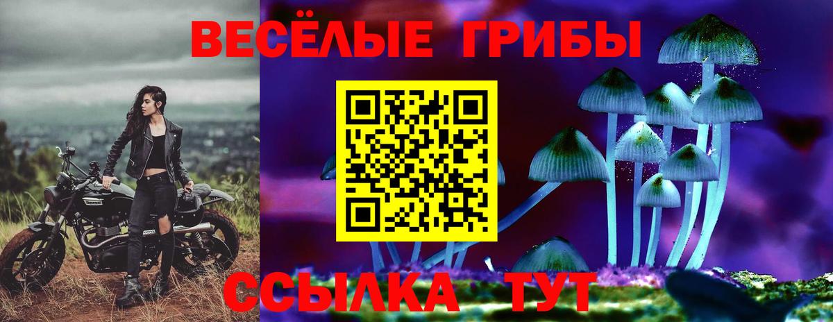 Псилоцибиновые грибы мухоморы  Вход с VPN  Белгород 