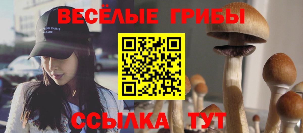 Галлюциногенные грибы GOLDEN TEACHER Белгород